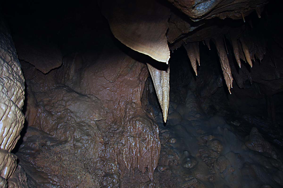 M 02.JPG